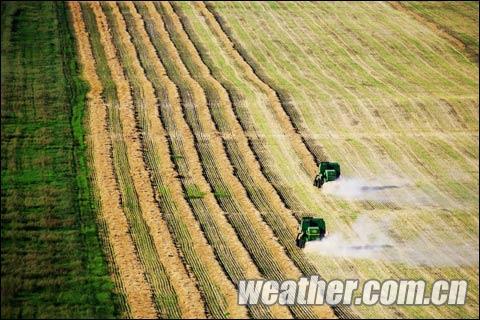 �й�������2011�ļ���Ӱ������ѡ�������