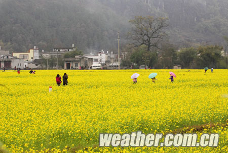 �������ꡰ�ϡ���ס�����������Ͳ˻�������ͼ��