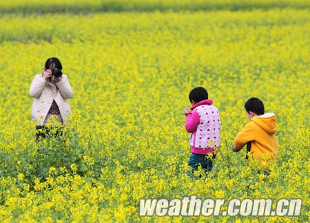 �������ꡰ�ϡ���ס�����������Ͳ˻�������ͼ��