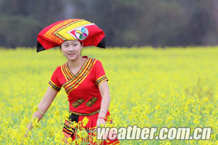 �������ꡰ�ϡ���ס�����������Ͳ˻�������ͼ��