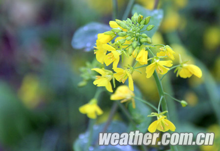 �������ꡰ�ϡ���ס�����������Ͳ˻�������ͼ��