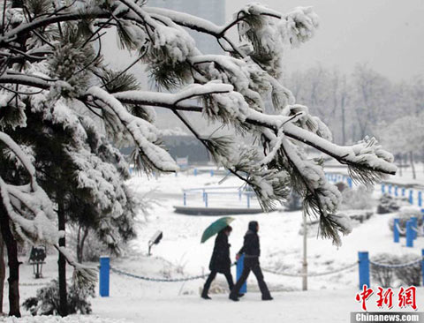 �������ֽ�ǿ��ѩ �����������ʱ���