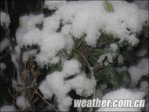 ���󿪷��յ���֮�� ���괺ѩ��۾��� 