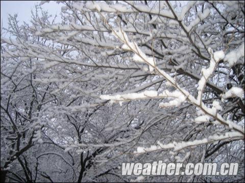 ���󿪷��յ���֮�� ���괺ѩ��۾��� 