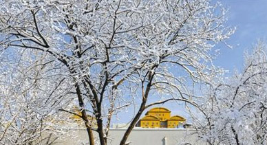 �����붬�������ѩ�¿���������һ��ˮ׼