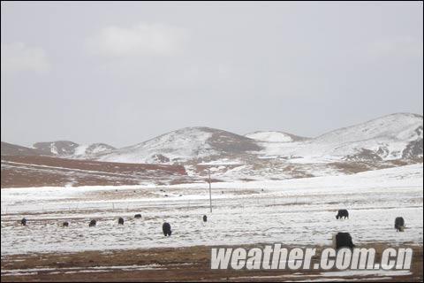 �ຣ�ʵ�ѩ������ѩ���� �������ڡ�Σ��������