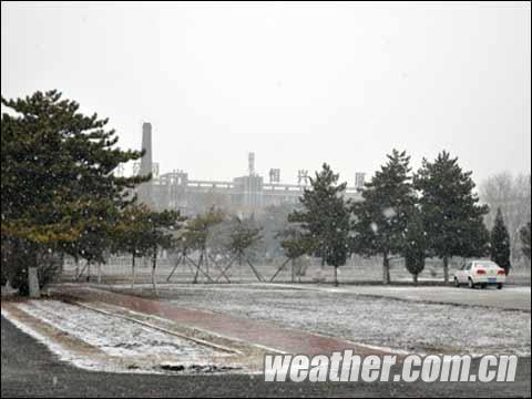 ���ɹ���������ݸ���� ����ӭ����ѩ��罵������