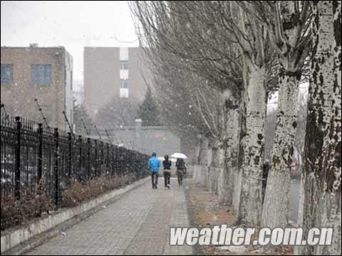 ���ɹ���������ݸ���� ����ӭ����ѩ��罵������