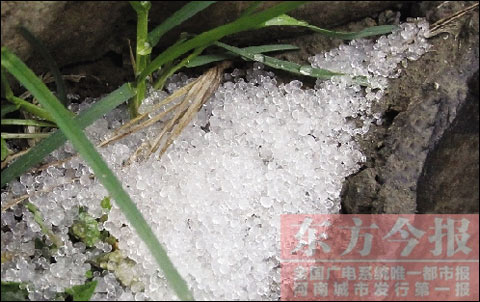 ֣�ݳ���ǿ���� ���Ǳ����ǡ�����