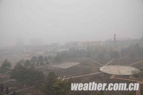 ���ɹ������������ɳ�� �ж�����ѩ���´�������