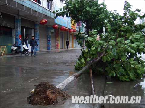 ������س��ִ������ ���������¼����»�