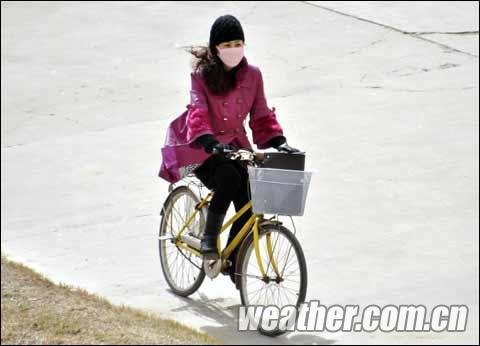 23����ӱ������Ϯ������ɫԤ������ͼ��