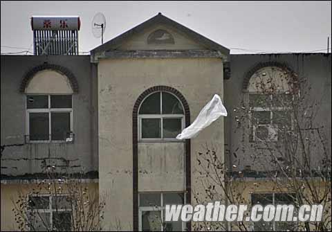 23����ӱ������Ϯ������ɫԤ������ͼ��