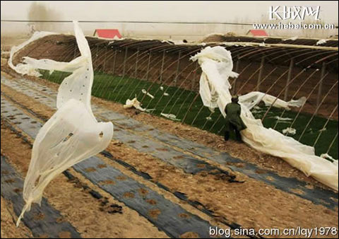 �ӱ�ʡ���ֽ�����ǿ������� ˲ʱ������10��