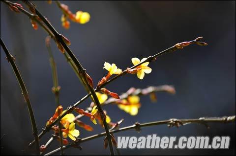 �ҹ��ж��������������� �봺�����ӿ�