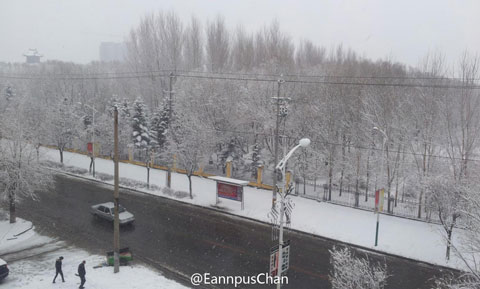 ����������ѩ��ɫԤ��  �г��������ٿ���  