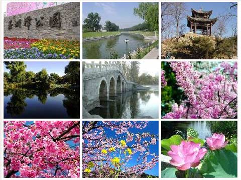 �����������ֱ��20��   ��Ԩ̶ӣ����������