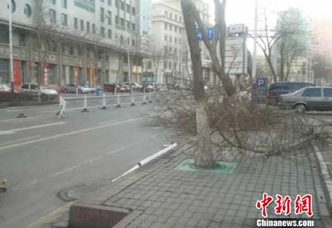 ��³ľ���������Ϯ�� ���������ٽӽ�10��