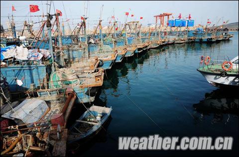 ɽ�������ɫԤ������ �ൺ��ͨ��ֻȫ��ͣ��