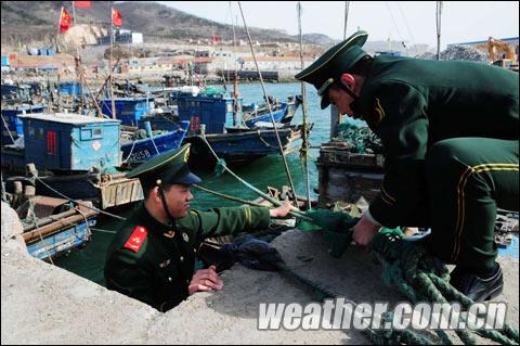 ɽ�������ɫԤ������ �ൺ��ͨ��ֻȫ��ͣ��