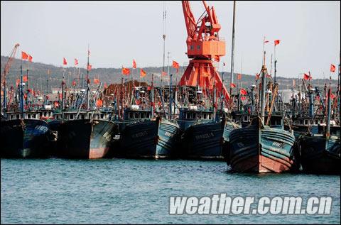 ɽ�������ɫԤ������ �ൺ��ͨ��ֻȫ��ͣ��