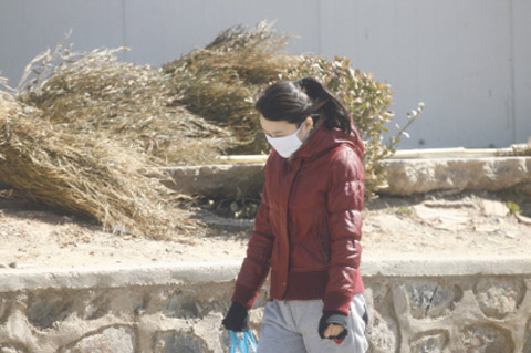 �����ֽ����״�ɳ������ ϵ���ɹ�ɳ��������������