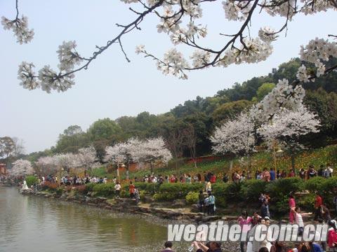 ����������ڵ��� ���������ȫʡ�н���