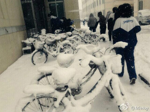 �����Ƶ�����²����� ���������������