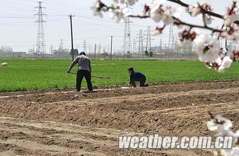 河北近期风大天干 森林草原火险等级极高