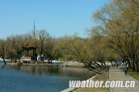 ��������ϸ���� �����Һ������գ�ͼ��