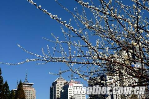 ��������ϸ���� �����Һ������գ�ͼ��