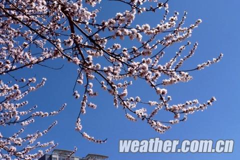 ��������ϸ���� �����Һ������գ�ͼ��