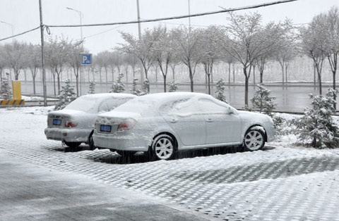 冬麦区迎弱降水 利于冬小麦拔节生长