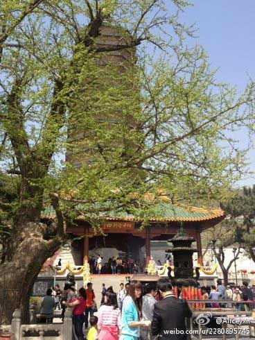 北方多地气温连创新高 今起冷空气暂阻回温