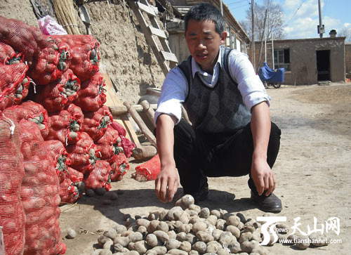 新疆温泉县:爱“折腾”的致富能手邵伟 新疆温泉县:爱“折腾”的致富能手邵伟