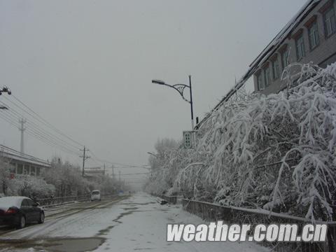 青海南部连续第5天出现大雪 影响交通畜牧利于牧草返青