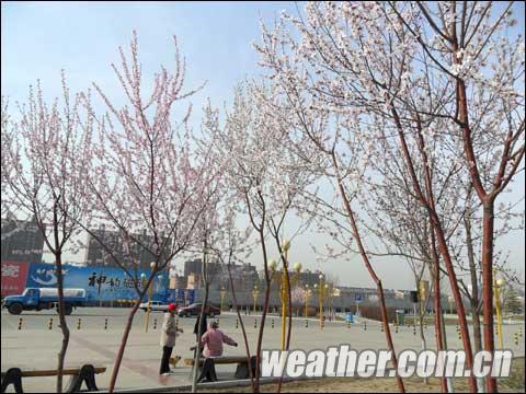 内蒙古升温迅猛 冷空气将至带来大风降温