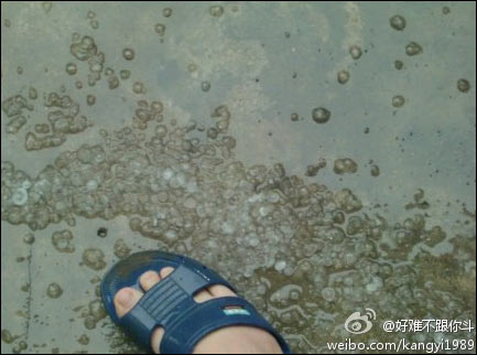 雨水流连江南华南 局部地区有大到暴雨