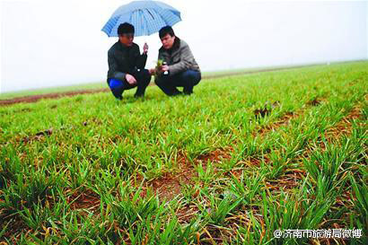 ���������Ͷ�����ӭ���� ����������������