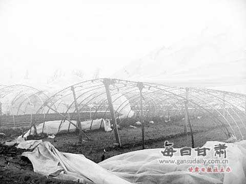 ����ֵ�����ɳ���� �������������Զ���ɳ��