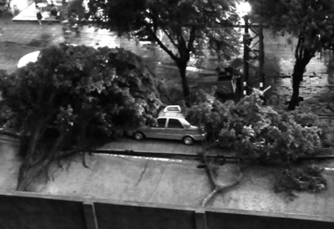 大暴雨致闽江支流现洪水 未来三天福建仍有较强降水