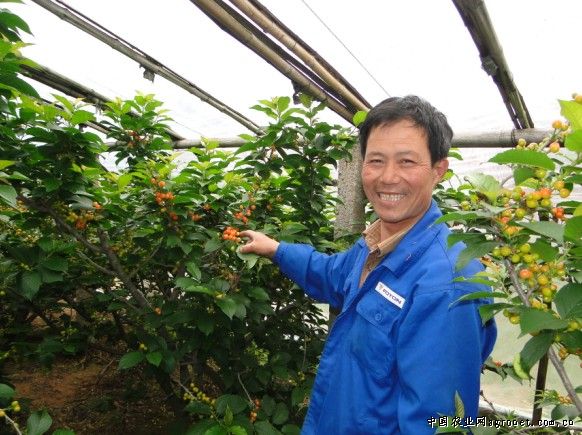 ɽ����������������һ��ӣ�Һ�