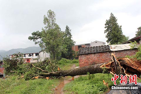 ����Ϯ���� �����񷿵���