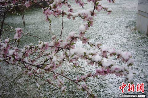 ��³ľ����ɽ5�½�ѩ �ְ�ѩ�����ʻ�����