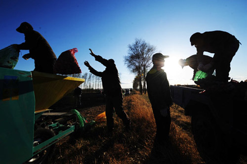 5月9日,在黑龙江省克山县河南乡仁发村的地头上,仁发现代农业农机专业合作社的社员正往播种机里装薯种 5月9日,在黑龙江省克山县河南乡仁发村的地头上,仁发现代农业农机专业合作社的社员正往播种机里装薯种