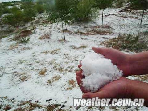 �������ɹŶཱུ�� ������������