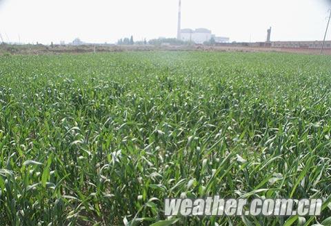 5����Ѯ���ɹ���ˮ���� ������������ǰ����