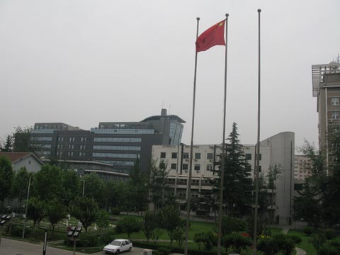 ��������ǰ����������