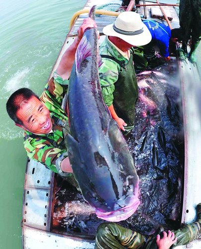 ������ˮ�����