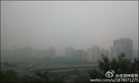 ����4���糿���� ����������